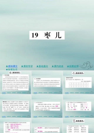 九年级语文下册 第五单元 19(枣儿)巩固练习课件 新人教版 课件