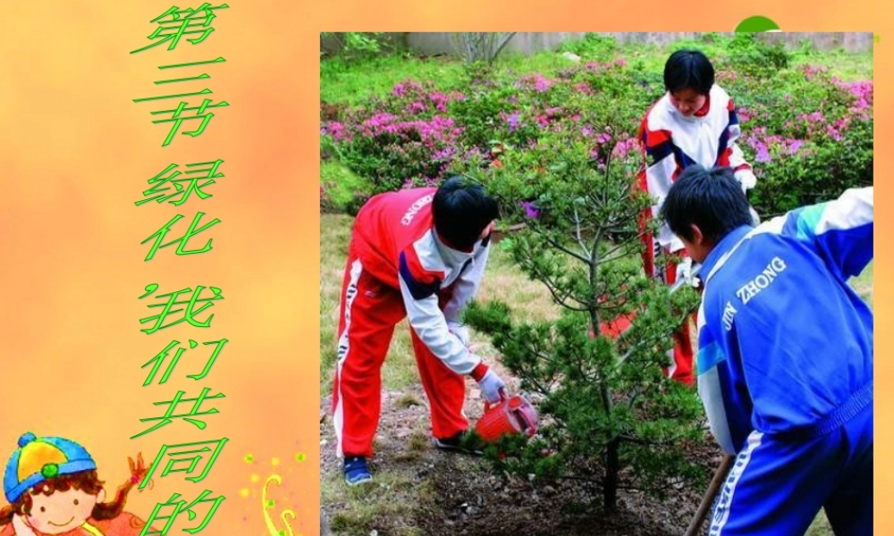 七年级生物 植被破坏与环境恶化课件 苏教版 课件