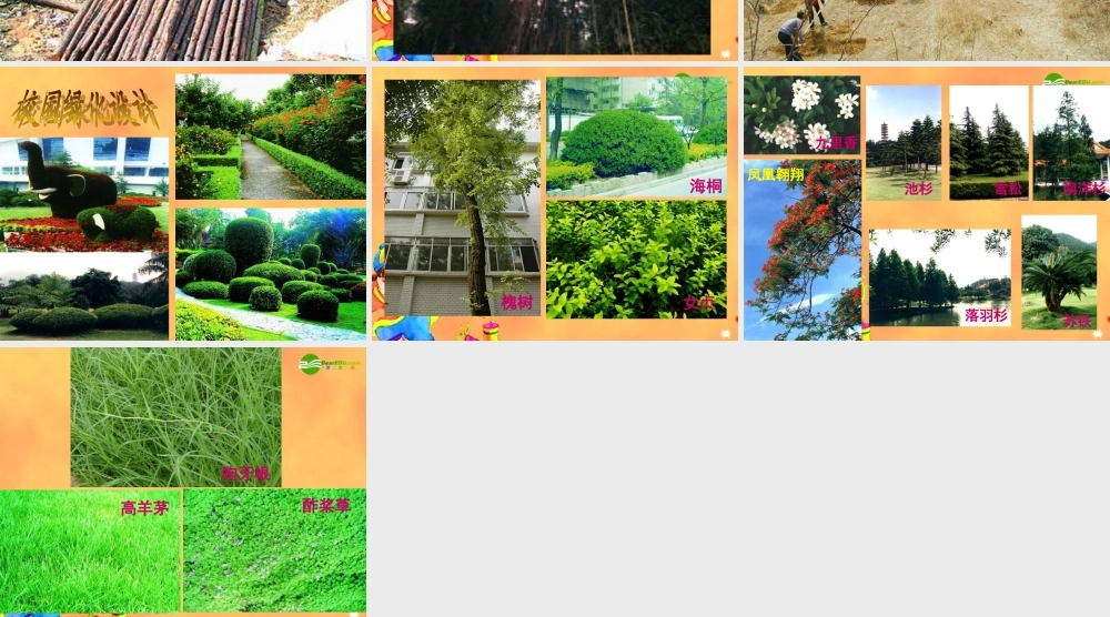 七年级生物 植被破坏与环境恶化课件 苏教版 课件