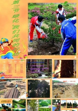 七年级生物 植被破坏与环境恶化课件 苏教版 课件
