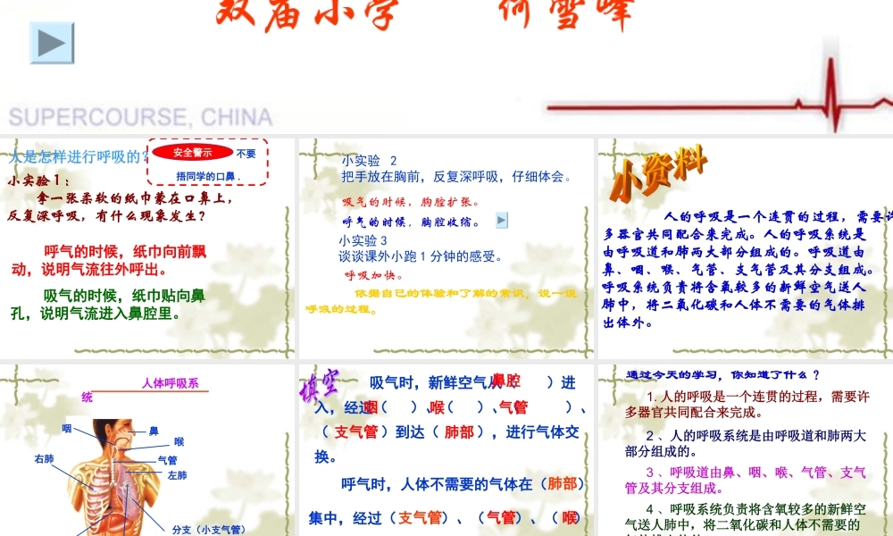 四年级科学上册《运动与呼吸（一）》
