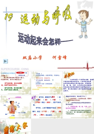 四年级科学上册《运动与呼吸（一）》