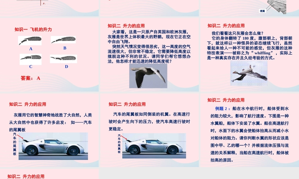 春八年级物理下册 10.1在流体中运动 升力的产生和应用课件 (新版)教科版 课件