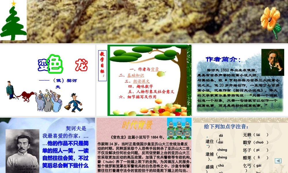 九年级语文下变色龙课件人教版 课件