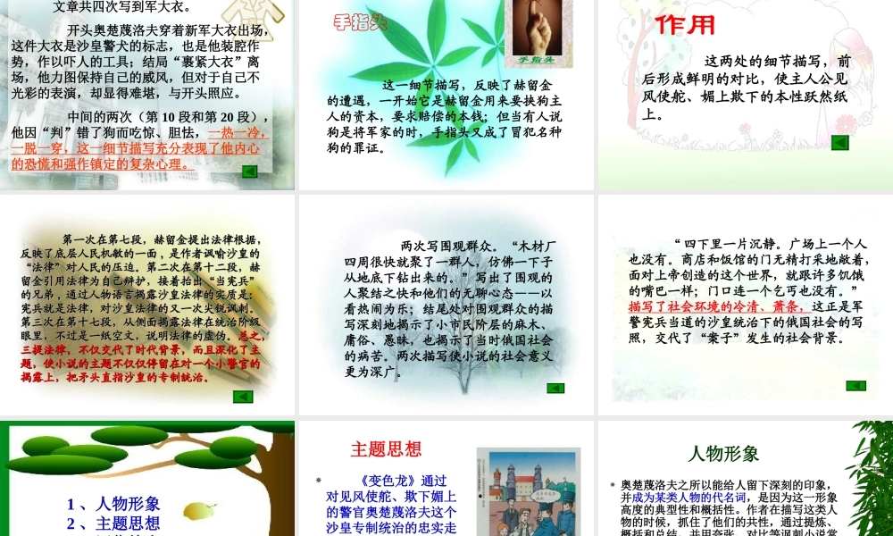 九年级语文下变色龙课件人教版 课件