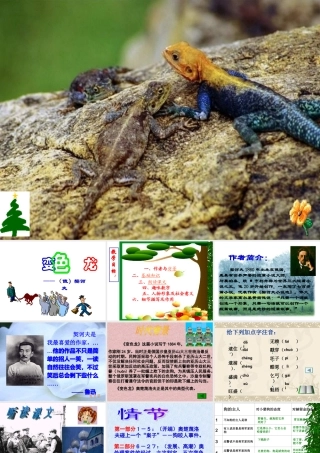 九年级语文下变色龙课件人教版 课件