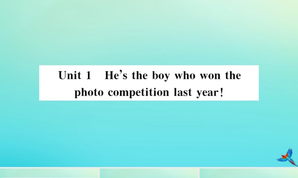 九年级英语上册 Module 11 Photos Unit 1 He s the boy who won the photo competition last year习题课件 (新版)外研版 课件