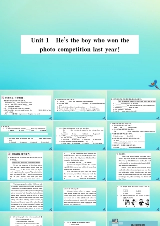 九年级英语上册 Module 11 Photos Unit 1 He s the boy who won the photo competition last year习题课件 (新版)外研版 课件