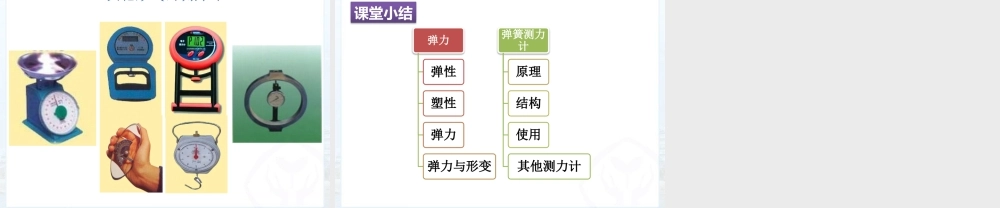 一、弹力弹簧测力计