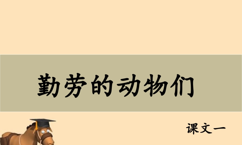 《勤劳的动物们》课件