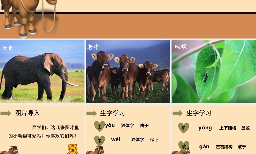 《勤劳的动物们》课件