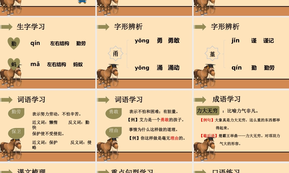 《勤劳的动物们》课件