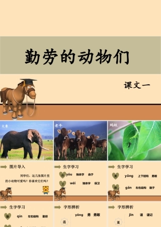 《勤劳的动物们》课件