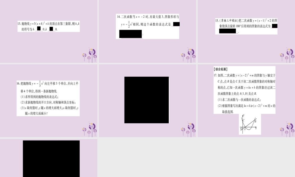 九年级数学下册 第1章 二次函数 12 二次函数的图象与性质 第4课时 作业课件 (新版)湘教版 课件