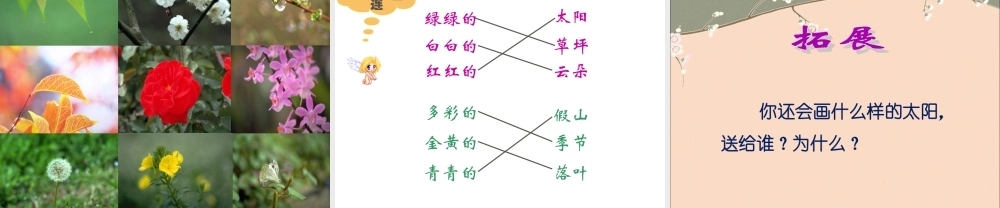 《四个太阳》课件2