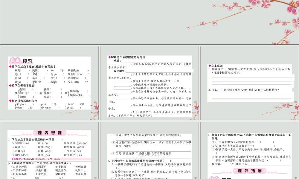 九年级语文下册 第二单元 8(蒲柳人家(节选))课堂过关演练课件 新人教版 课件