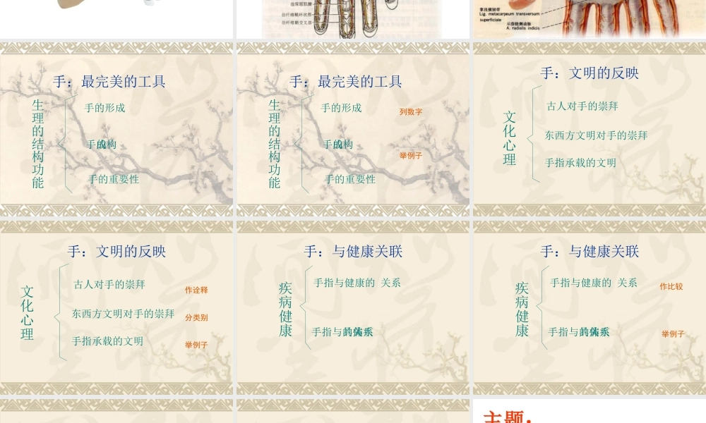 我们这双手课件