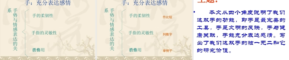 我们这双手课件
