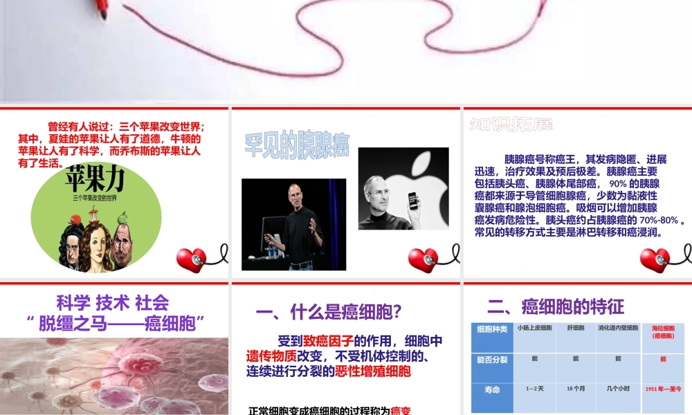 科学·技术·社会-“脱缰之马”——癌细胞-(2)