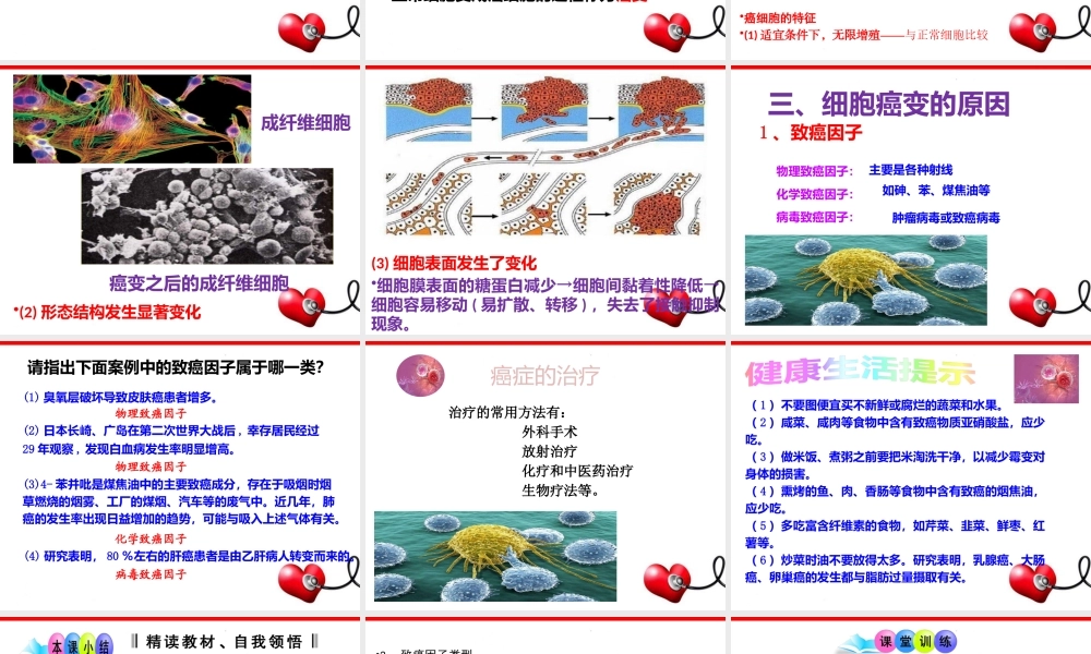 科学·技术·社会-“脱缰之马”——癌细胞-(2)