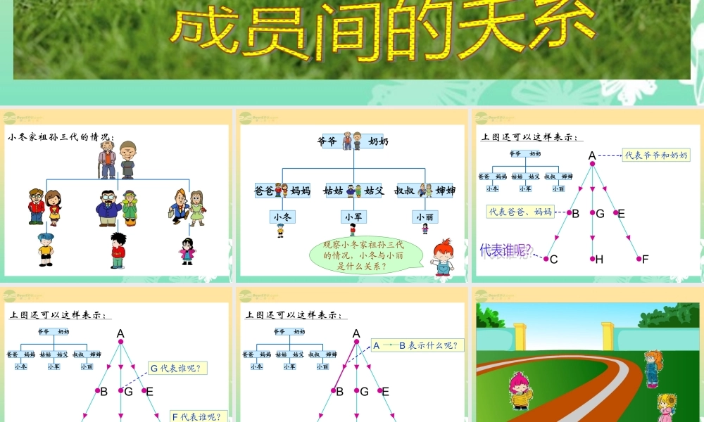 六年级数学上册《成员间的关系》课件北师大版
