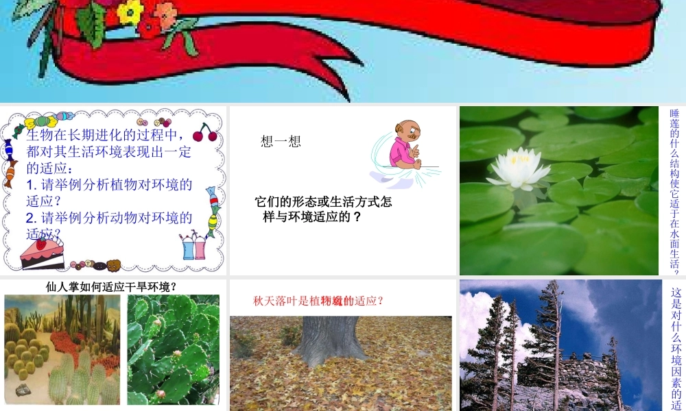 七年级生物上：第一单元第三章第三节 生物对环境的适应与作用课件(济南版) 课件