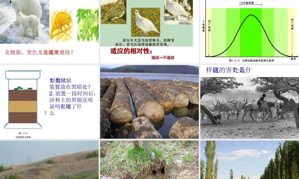 七年级生物上：第一单元第三章第三节 生物对环境的适应与作用课件(济南版) 课件