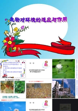 七年级生物上：第一单元第三章第三节 生物对环境的适应与作用课件(济南版) 课件