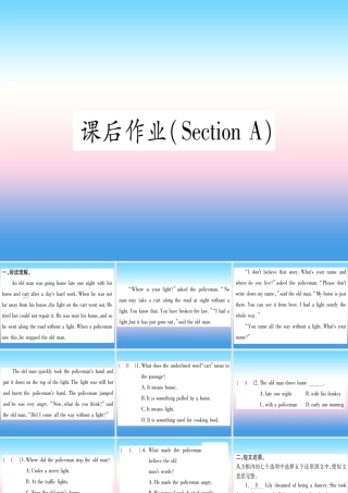 九年级英语全册 Unit 12 Life is full of the unexpected Section A课后作业课堂导练课件(含中考真题)(新版)人教新目标版 课件