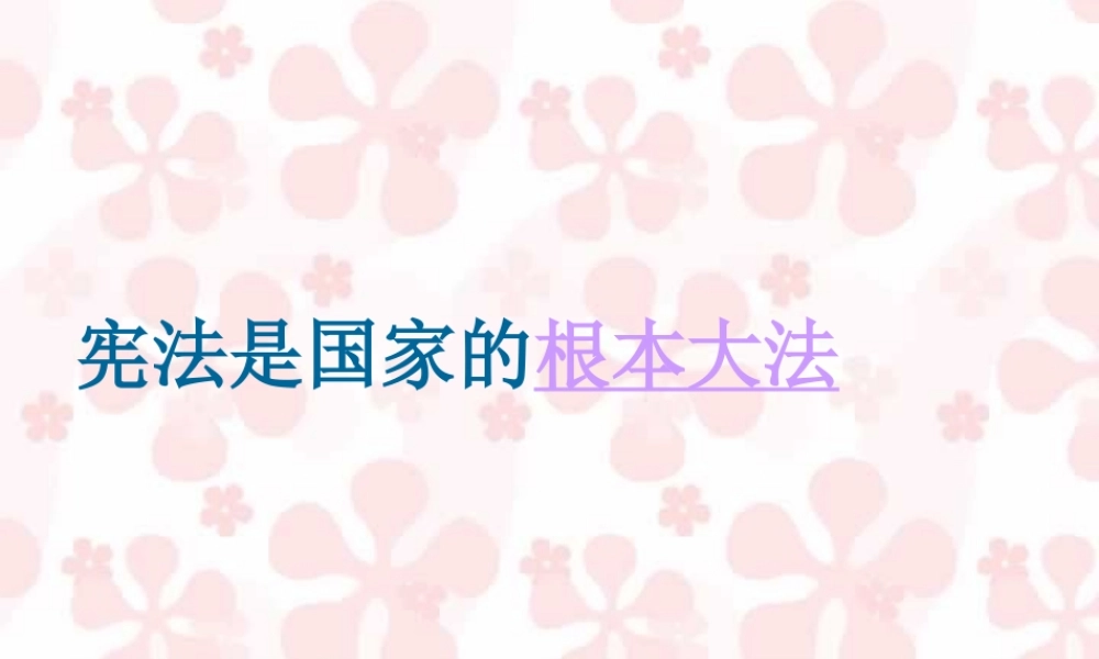 政治宪法是国家的根本大法 课件