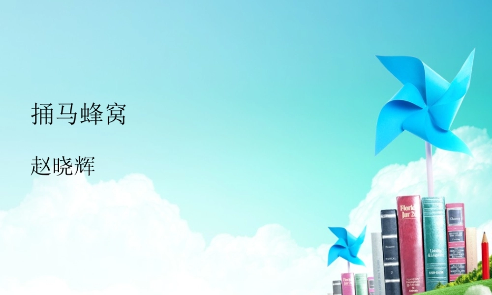 捅马蜂窝幻灯片