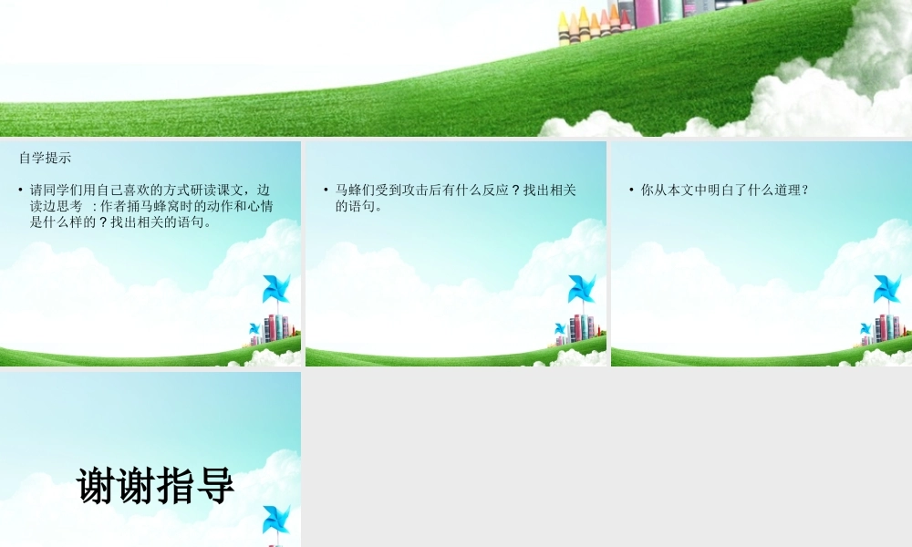 捅马蜂窝幻灯片