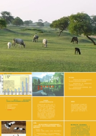 八年级生物下册 生物多样性的保护课件