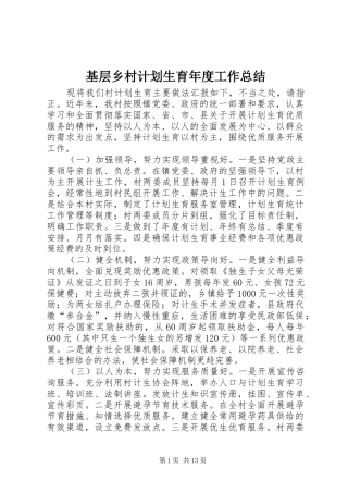 基层乡村计划生育年度工作总结