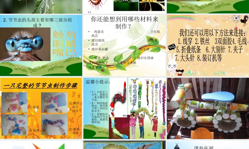 人美版小学二年级美术下册《节节虫》课件)
