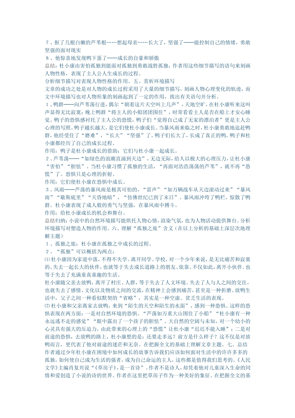 《孤独之旅》_第2页