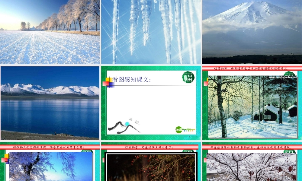 八年级语文下册(雪)教学课件 人教新课标版 课件