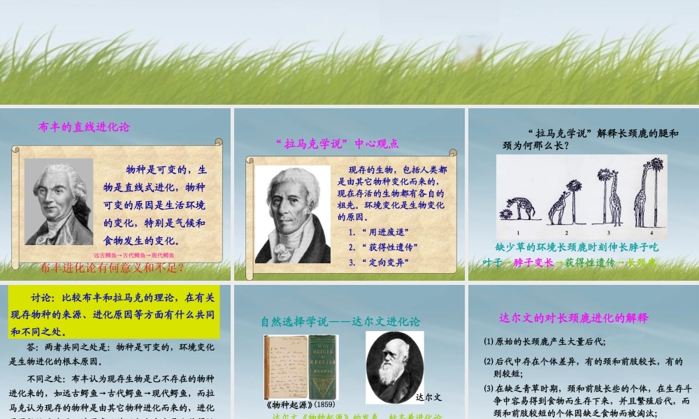 九年级科学下册(生物的进化 第二课时)课件 浙教版 课件