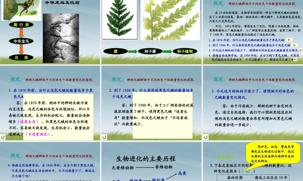 九年级科学下册(生物的进化 第二课时)课件 浙教版 课件