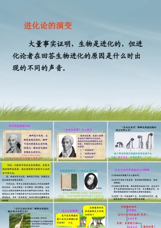 九年级科学下册(生物的进化 第二课时)课件 浙教版 课件