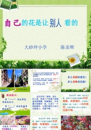 自己的花是让别人看的辉辉