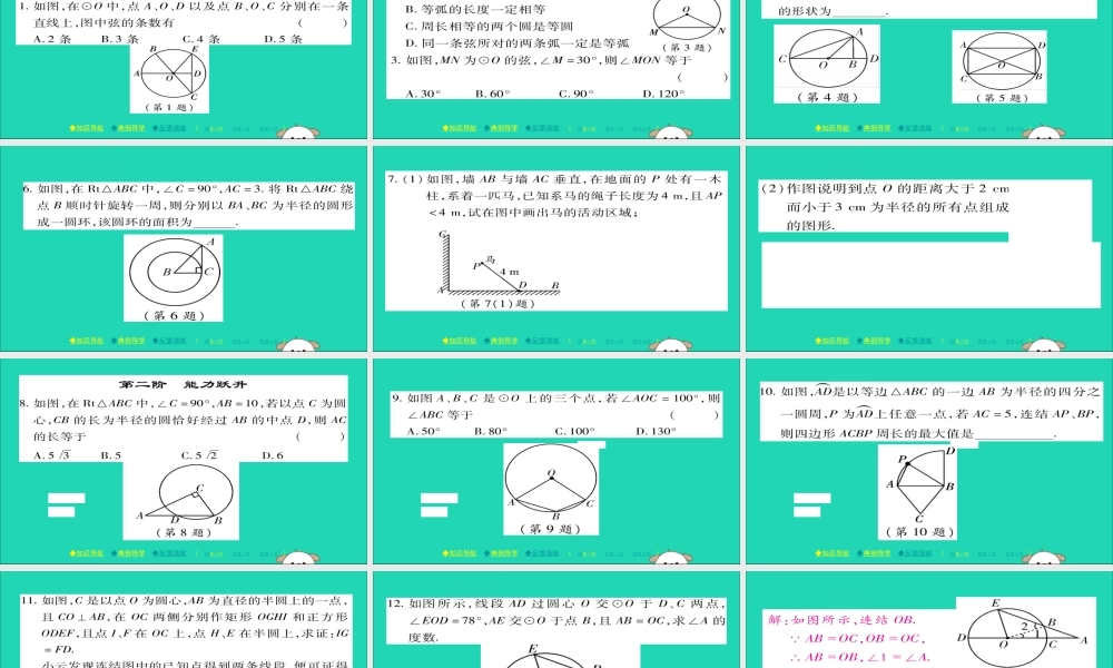 九年级数学下册 第27章(圆)2711 圆的基本元素习题课件 (新版)华东师大版 课件
