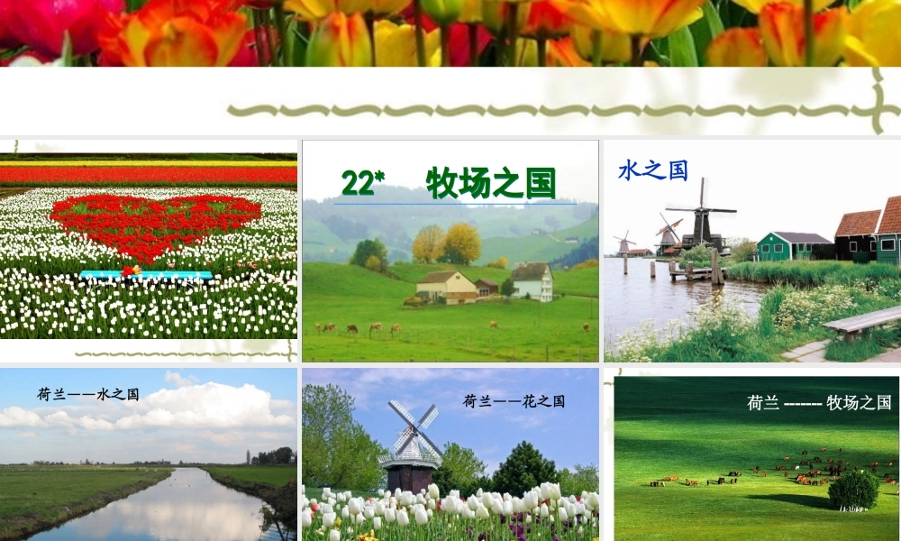 《牧场之国》