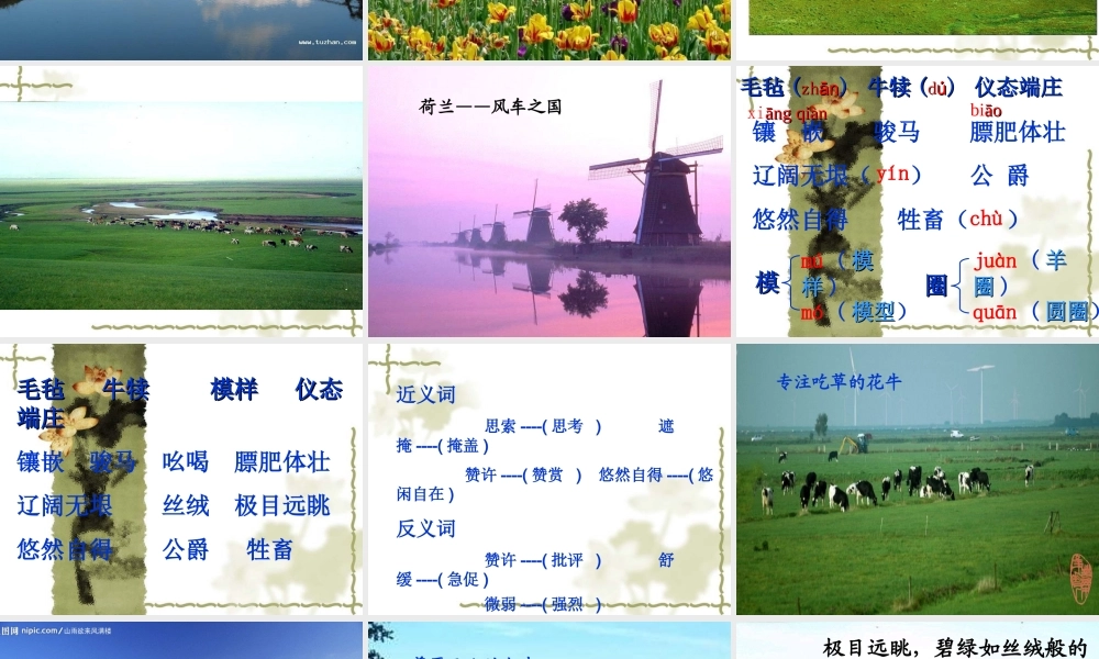 《牧场之国》