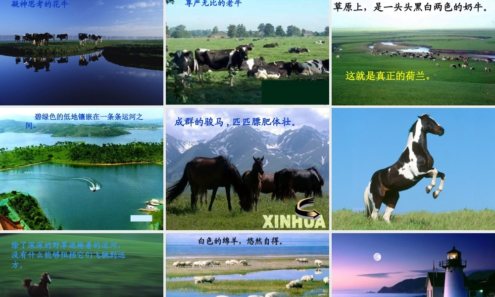《牧场之国》