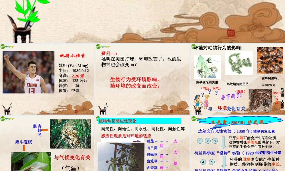 八年级科学上册(生命活动的调节)复习课件 浙教版 课件