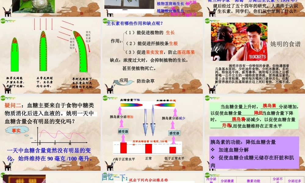 八年级科学上册(生命活动的调节)复习课件 浙教版 课件