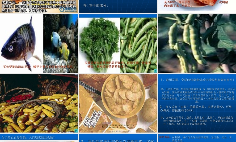 七年级生物第三节关注合理营养与食品安全课件