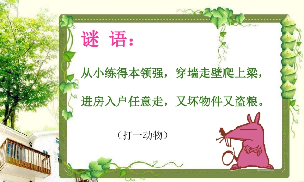 鼠标的基本操作