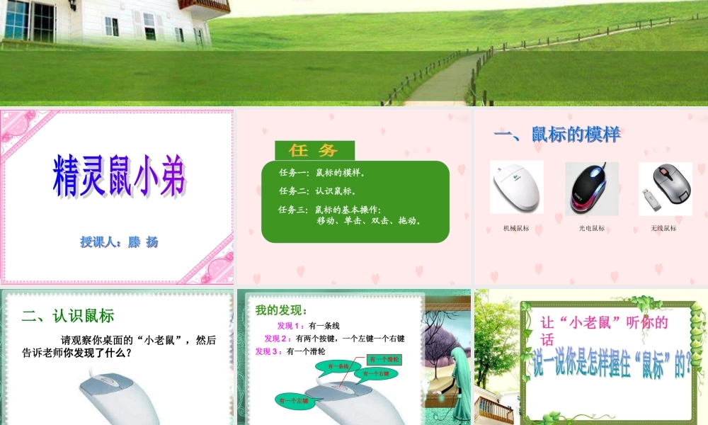 鼠标的基本操作